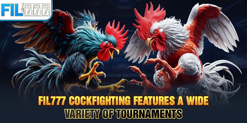 FIL777 cockfighting features a wide variety of tournaments